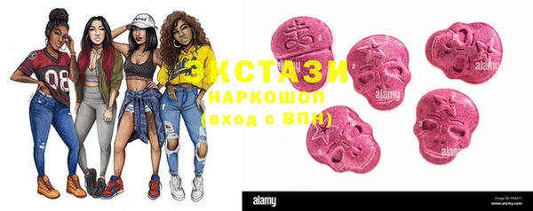 мдпв Туринск