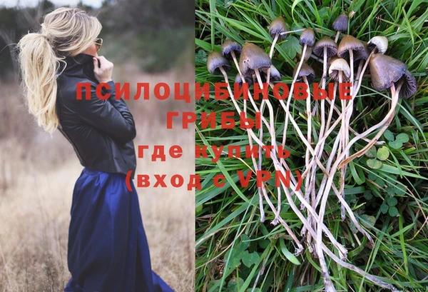 мдпв Туринск