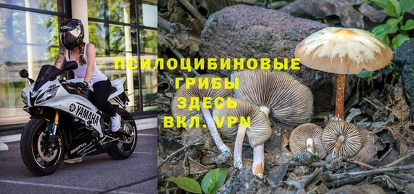 мдпв Туринск