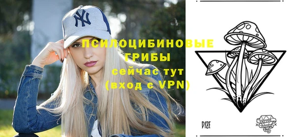 а пвп мука Тында
