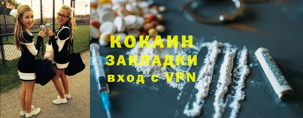 мдпв Туринск