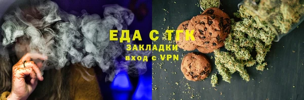 мдпв Туринск
