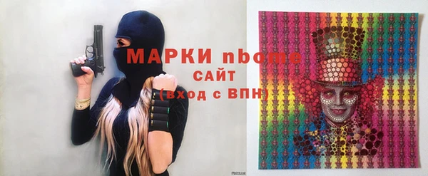 мдпв Туринск